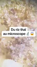 Microscopeur-microscopeur