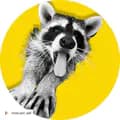 Mama Raccoon 🦝-raccoonrehabbers