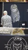 LCWW Loving Cats Worldwide-lovingcatsworldwide_lcww