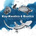 KayKwatics & Exotics-kaykwaticsnexotics