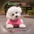 𝓫𝓲𝓫𝓸_𝐻𝑎𝑚𝑧𝑎𝑜𝑢𝑖-caniches_toys