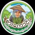 Sarkaung Myanmar-sarkaungtal6289