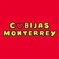 Cobijas Monterrey-cobijasmonterrey