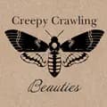 Creepy Crawling Beauties-creepy.crawling.b