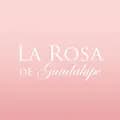 La Rosa de Guadalupe-la_rosa_de_guadalupe810
