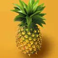 pineapple.ide-pineapple.ide