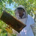 ฟาร์มผึ้งธวัชชัย-thawatchaibeefarm