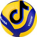 SportLife-favorite_volleyball