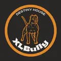 XLBully Destiny House-destiny_house64