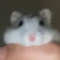 ._.hampster-._.hampster