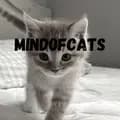 MindofCats-mindofcatss