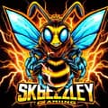 skbeezley_gaming-skbeezley_gaming