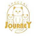 Special journey cattery-special_journey_cattery
