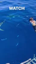 Ocean Ramsey Sharks-ocean.ramsey