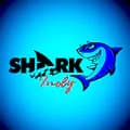 Shark Indy168-shark_indy168