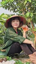 Mộc Linh Tea-trabupoithaomoc