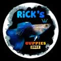 RiCK's Guppies-ricksguppies
