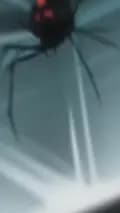 Velvet Spider-velvetspider