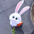 Thỏ thích rì viu 🐇-fairy_kilig