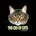 Kay Banks-theceoofcats