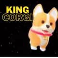 👉CORGI-KING👈-corgi_king1