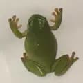 Karen The Frog-karanthefrog