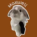 MaxwelltheBunny-maxwellthe_bunny