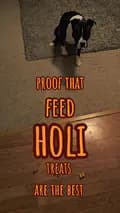 Feed HOLI-feedholi