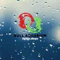 bull aquarium-bull_aq
