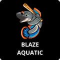 Blaze Aquatic-blaze.aquatic