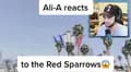 RedsparrowPeaky-redsparrowpeaky