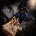 Faelen & Maeve Wolfdogs-runningwithwolfdogs