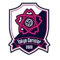 Tokyo Cerisier volleyball team-cerisier.com