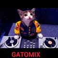gatomix-gatomix29