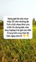 Hoang Ha Anh1-haanh_111222