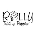 ROLLY TEACUP PUPPIES KOREA-rollypups_official