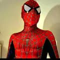 The_Raimi_Spider_Man-the_raimi_spider_man