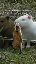Capybara-joe_smith2002