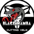 Black Mamba-blackmambasticker