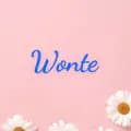 wonte-shop__won
