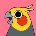 Petty Parrot-pettyparrot