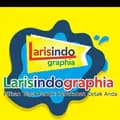 larisindo graphia-larisindographia26
