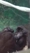 Oregon Zoo-oregonzoo