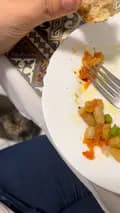 alyssa gatto salsiccia-munchkin.italia