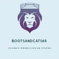 Boot and cats-bootsandcats65