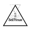 SetiHouse-seti.house