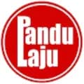 PanduLaju-pandulaju