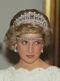 Princess Diana-familyofroyals