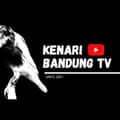 Kenari Bandung TV BirdShop-kenaribandungtv