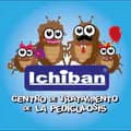 ICHIBAN (Piojos y Liendres)-ichiban_pediculosis_peru